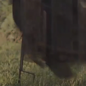 170cm Halloween Light-Up Witches Ghost Halloween Decoration Horror Props Creepy Skeleton For Halloween Decoration Voice Control