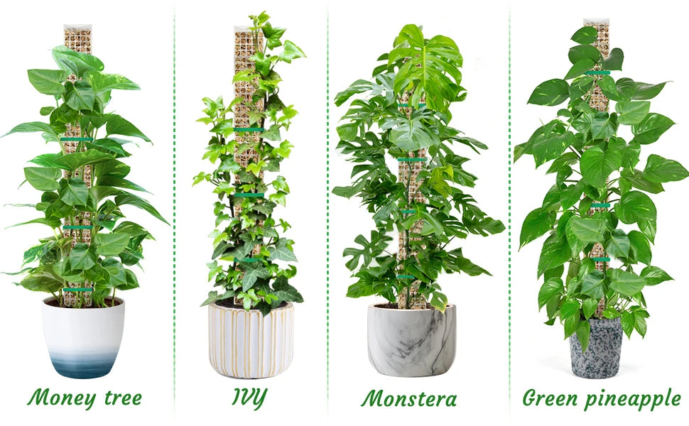 Plastic Moss Pole for Plants Monstera,24in/36in/48 inch Plant Poles for Climbing Plants Indoor Plant Support Garden Growth Stake