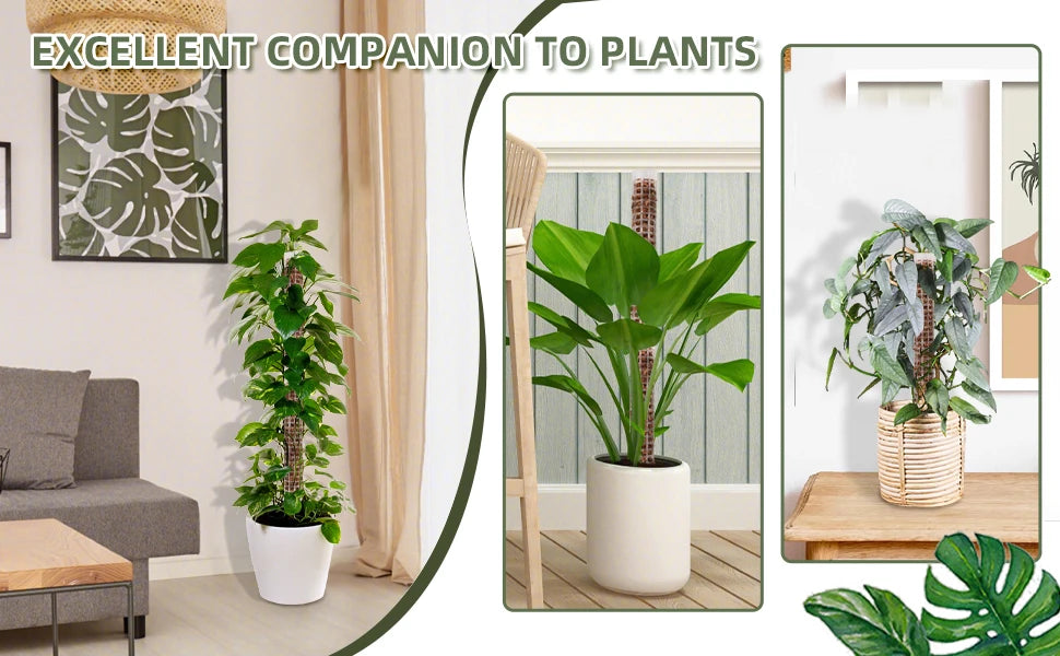 Plastic Moss Pole for Plants Monstera,24in/36in/48 inch Plant Poles for Climbing Plants Indoor Plant Support Garden Growth Stake