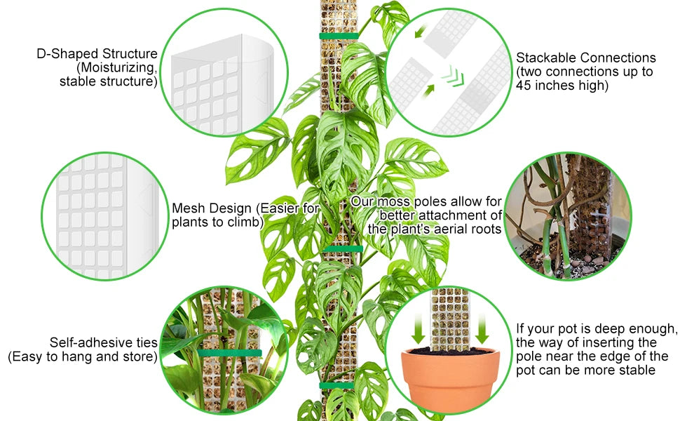 Plastic Moss Pole for Plants Monstera,24in/36in/48 inch Plant Poles for Climbing Plants Indoor Plant Support Garden Growth Stake