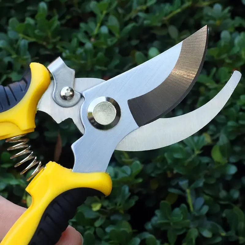 Stainless Steel Professional Gardening Shears Pruning branches Fruit trees Flowers Household Pruning Tools Shears
