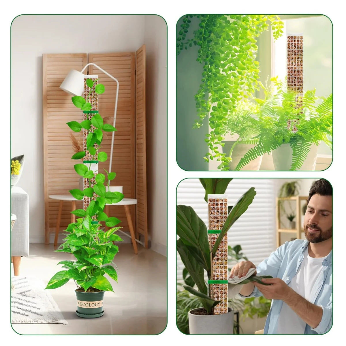 Plastic Moss Pole for Plants Monstera,24in/36in/48 inch Plant Poles for Climbing Plants Indoor Plant Support Garden Growth Stake