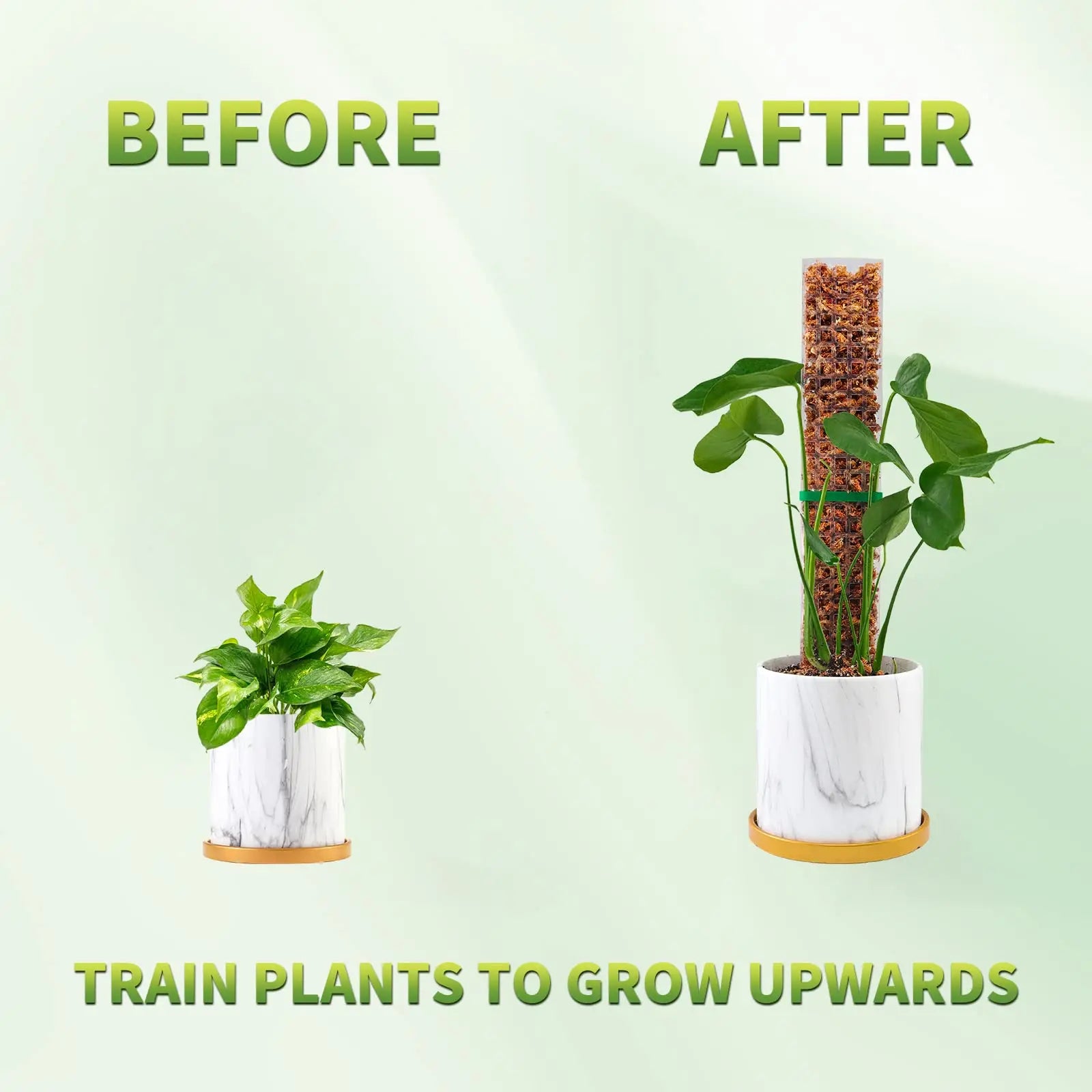 Plastic Moss Pole for Plants Monstera,24in/36in/48 inch Plant Poles for Climbing Plants Indoor Plant Support Garden Growth Stake