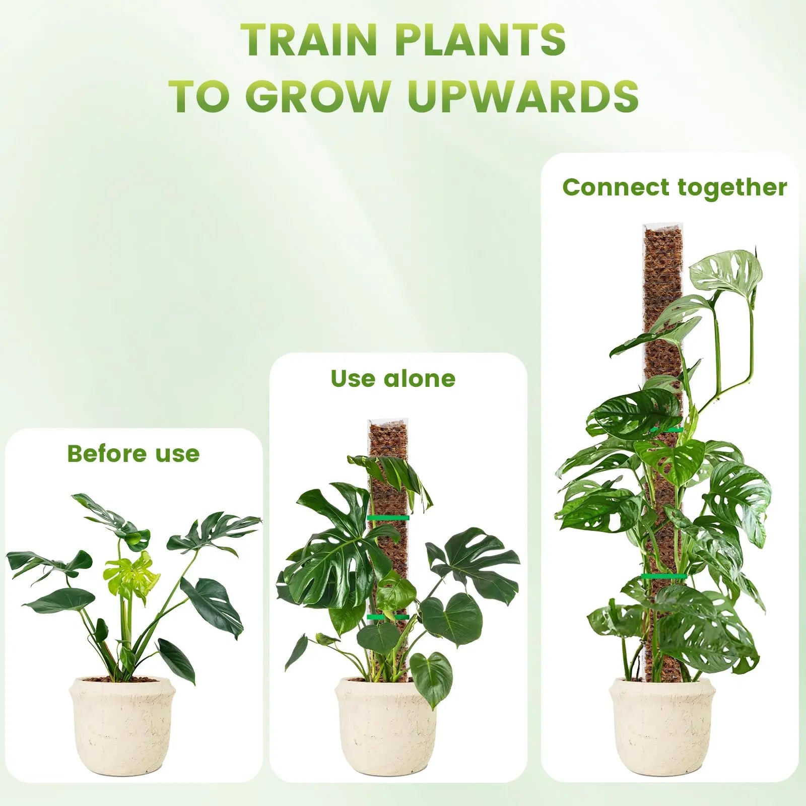 Plastic Moss Pole for Plants Monstera,24in/36in/48 inch Plant Poles for Climbing Plants Indoor Plant Support Garden Growth Stake