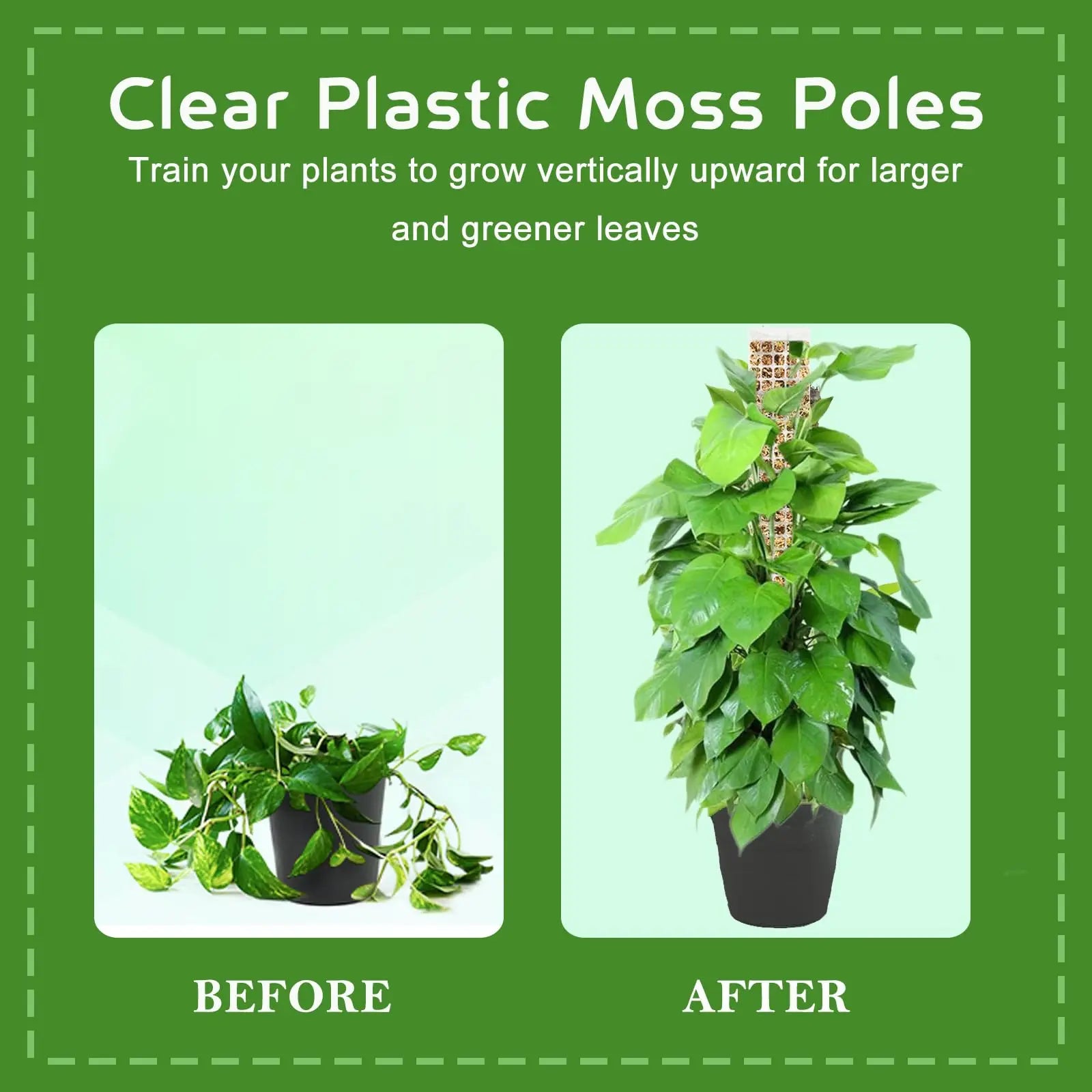 Plastic Moss Pole for Plants Monstera,24in/36in/48 inch Plant Poles for Climbing Plants Indoor Plant Support Garden Growth Stake