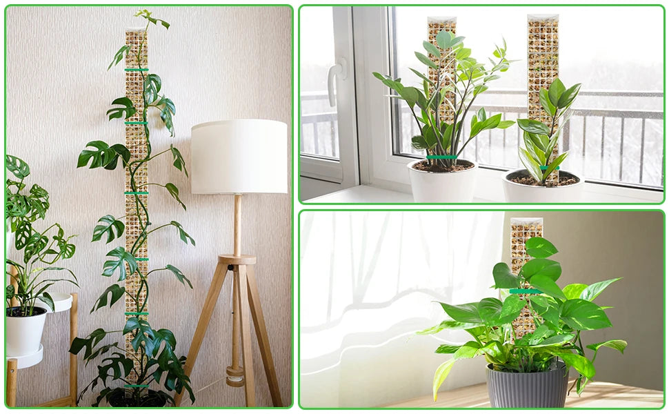 Plastic Moss Pole for Plants Monstera,24in/36in/48 inch Plant Poles for Climbing Plants Indoor Plant Support Garden Growth Stake
