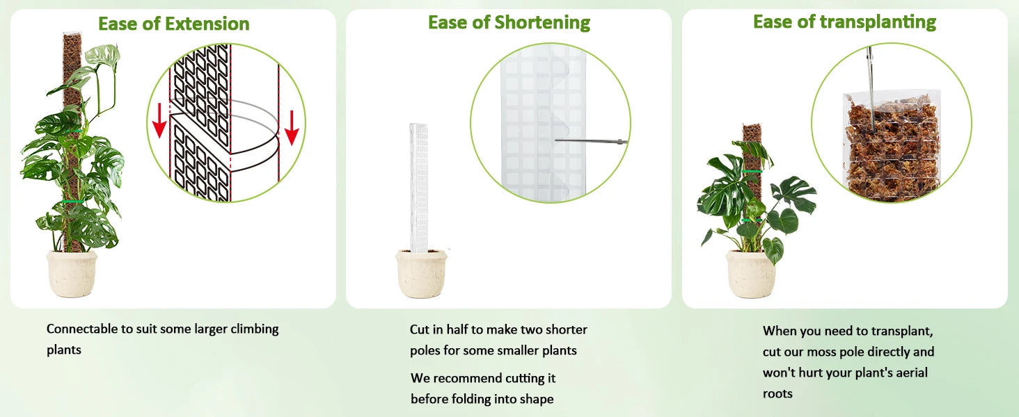 Plastic Moss Pole for Plants Monstera,24in/36in/48 inch Plant Poles for Climbing Plants Indoor Plant Support Garden Growth Stake